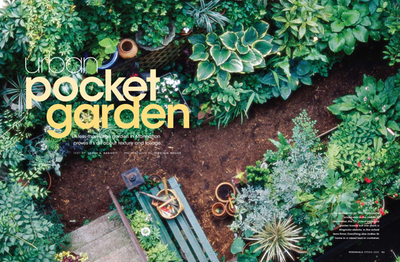 Urban Pocket Garden